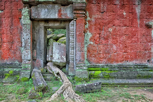 Templo Prohm Angkor Camboja Raízes Das Árvores Selva Entrelaçam Com — Fotografia de Stock