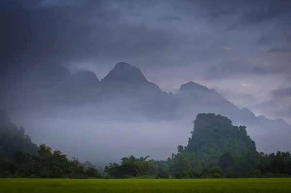 郁郁葱葱的绿色稻田和令人惊叹的锯齿状山脉 覆盖着薄雾和云层中的草木 — 图库照片