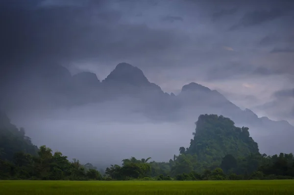 Lush Green Rice Paddies Amazing Jagged Mountains Covered Vegetation Mist — Stock Photo, Image