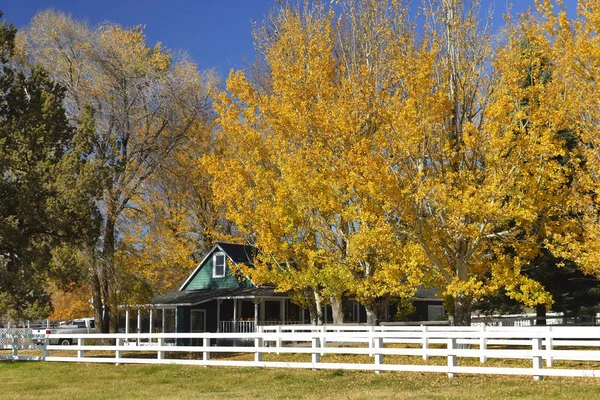 Verre Uitzicht Particuliere Ranch Huis Omgeven Door Herfst Bomen Bend — Stockfoto
