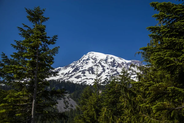 Γραφική Θέα Εθνικό Πάρκο Mount Rainier Ουάσινγκτον Ηπα Μια Ηλιόλουστη — Φωτογραφία Αρχείου