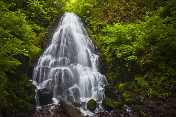 Fee Fällt Wasserfall Entlang Des Wahkeena Baches Auf Der Oregonischen — Stockfoto