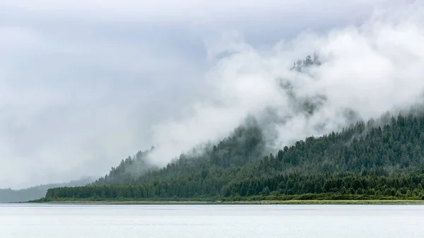 Vista Muir Inlet Nel Glacier Bay National Park Alaska Stati — Foto Stock