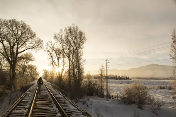 Rear View Man Walking Snowy Railroad Track — Stock Photo, Image