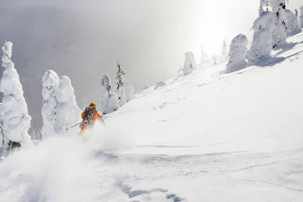 Rear View Male Skier Riding Powder Snow — Stock Photo, Image