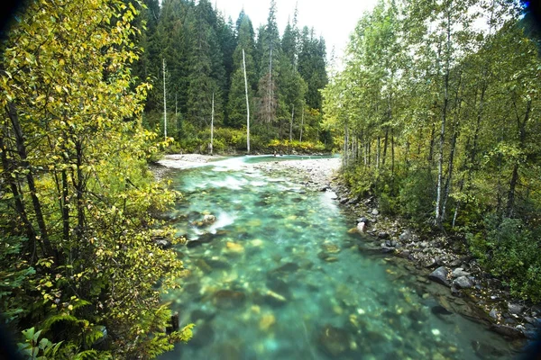 Clear Water Rushing River Revelstoke British Columbia Motion Blur — Stock Photo, Image