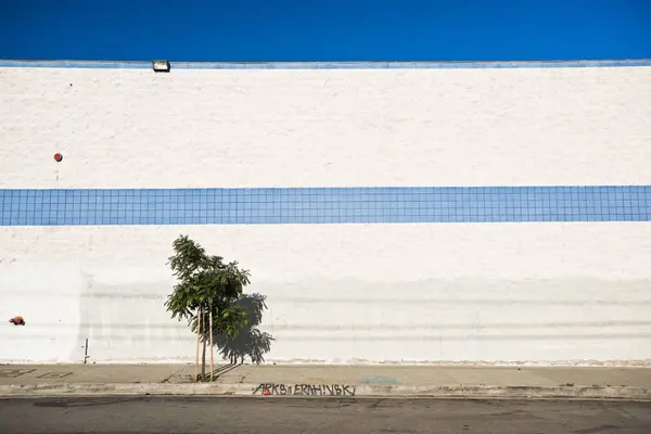 Straßenszene Mit Baum Gegen Weiße Wand Mit Blauem Streifen Los — Stockfoto