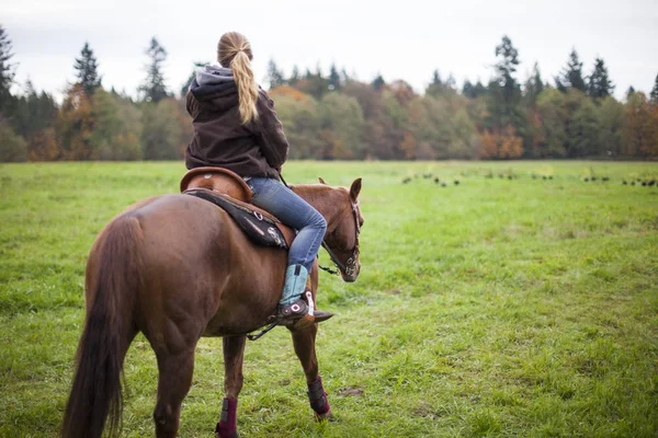 Rear View Young Woman Riding Horse — Stock Photo, Image