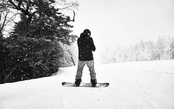 Imagem Preto Branco Snowboarder Parado Borda Uma Trilha — Fotografia de Stock