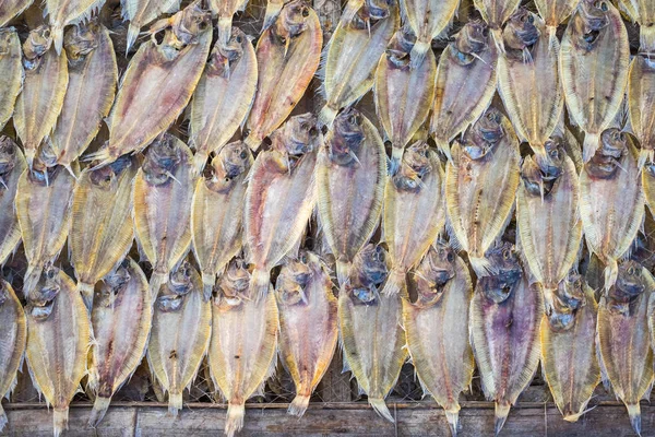 Close View Tilapia Drying Sun Fishing Harbor Vietnam — Stock Photo, Image