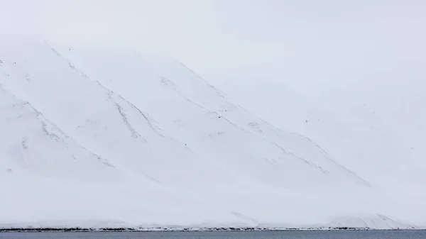 Arctic Sea Spitsbergen Svalbard Içinde Planda Ile Beyaz Karlı Dağları — Stok fotoğraf