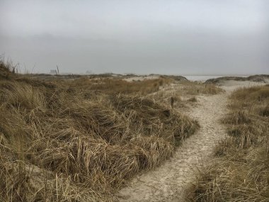 Kumullar ve St. Peter-Ording plaj kışın