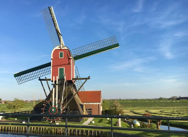 Windmolen Nederlanden — Stockfoto