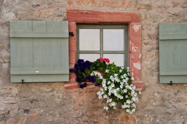Flowers in an old window clipart