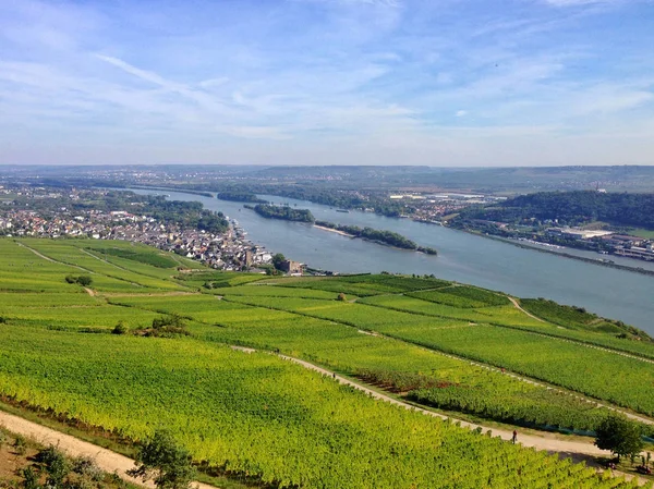 Beautiful valley of River Rhine — Stock Photo, Image