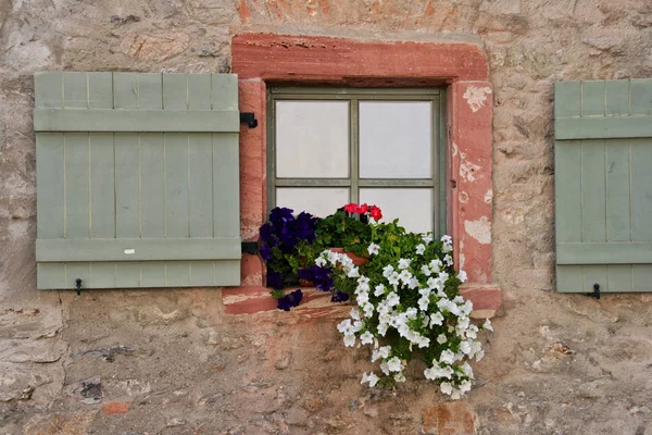 Flores em uma janela velha — Fotografia de Stock
