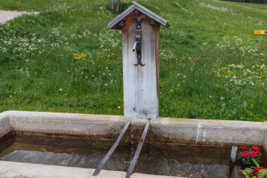 Çiçekler ile taştan yapılmış bir yalak çalışan su