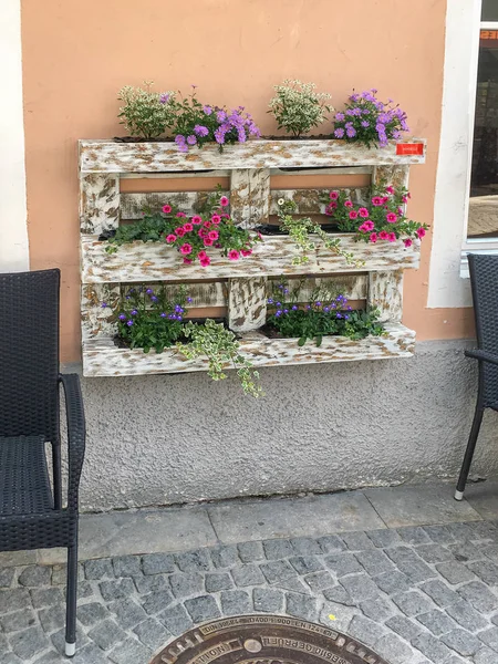 Decoração de flores em Euro palete — Fotografia de Stock