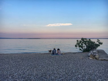 Göl kıyısındaki bir köpeğe Çift