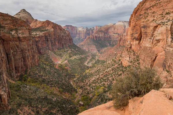 O Canyon tem vista para o Parque Nacional de Zion — Fotografia de Stock