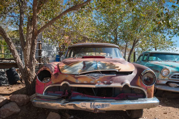 Vörös öreg elhagyott Desoto autó egy fa alatt a Hackberry General S — Stock Fotó