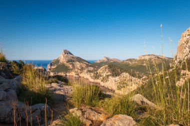 Bakış açısı Mirador Es Colomer, Mayorka (Mallorca), İspanya
