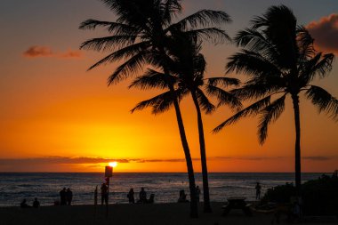 Amerika 'nın Hawaii adası Kauai' deki Poipu Plaj Parkı 'nda renkli bir gökyüzü önündeki palmiye ağaçları ile güzel romantik bir gün batımı.