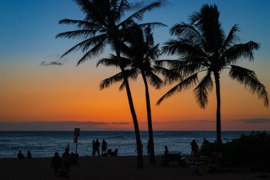 Amerika 'nın Hawaii adası Kauai' deki Poipu Plaj Parkı 'nda renkli bir gökyüzü önündeki palmiye ağaçları ile güzel romantik bir gün batımı.