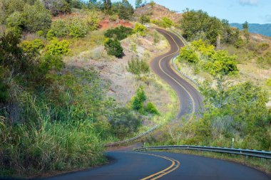 Hawaii 'nin Kauai adasındaki Kalalau Gözcüleri' ne dolambaçlı bir yol.