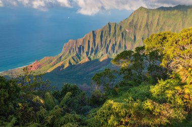 View from Kalalau Lookout to beautiful Na Pali Coast at Kokee State Park on the Hawaiian island of Kauai, USA. clipart