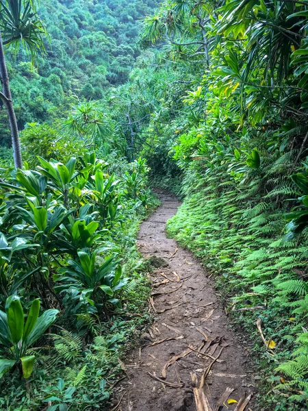 Challenging Kalalau hiking trail on the Hawaiian island of Kauai, USA