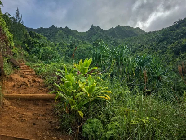 Desafiante Sendero Kalalau Isla Hawaiana Kauai — Foto de Stock