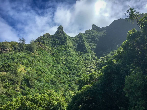 Landschaft Kalalau Wanderweg Auf Der Hawaiianischen Insel Kauai — Stockfoto