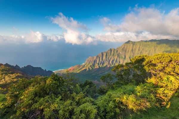 칼라우 전망대에서 아름다운 코스트 Pali Coast 하와이 카우아이 코케에 주립공원 — 스톡 사진