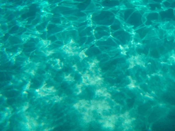 Ripples or reflections of sunlight underwater on sandy shallow ocean floor with camouflaged weever fish, Mediterranean sea, natural scene