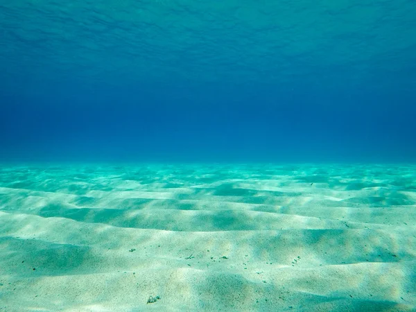 Arena Arena Submarina Fondo Marino Poco Profundo Mar Mediterráneo Con — Foto de Stock