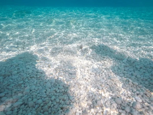Stony sea floor with stones in the Mediterranean sea, natural scene, Sardinia, Italy