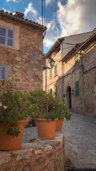 絵のように美しいバジェモッサの旧市街の路地の景色 マヨルカ マヨルカ スペイン 前景に鉢植えと — ストック写真