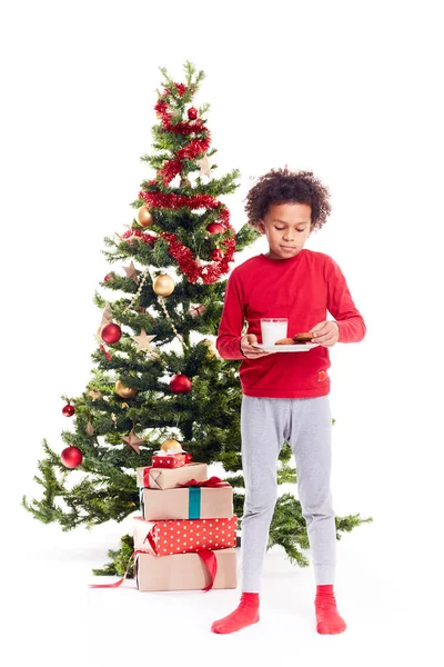 Niño de raza mixta cerca del árbol de Navidad — Foto de Stock