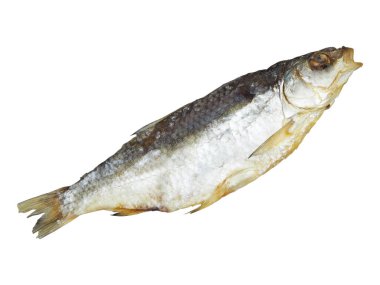 Beyaz arka planda izole edilmiş kuru Hazar böceği balığı.