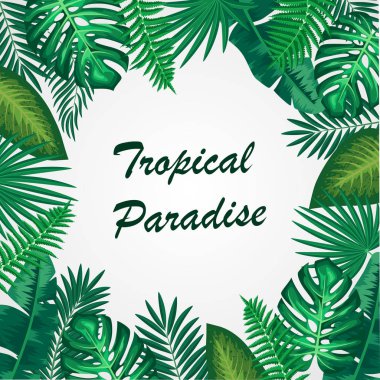 Vektör çizim yaz tropikal yaprak.