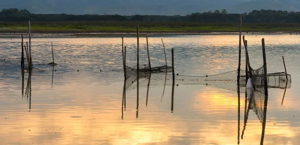 Рыболовные сети в болотах . — стоковое фото