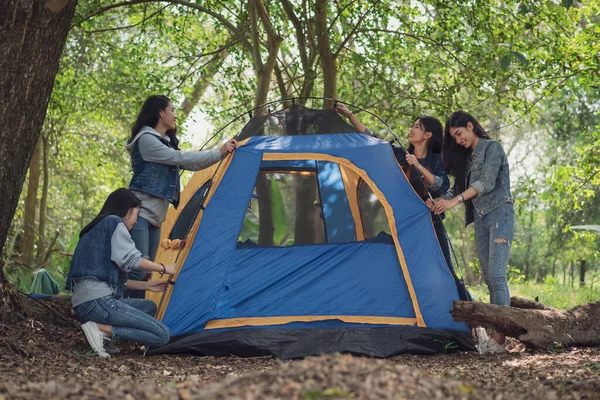 Group Asian Teenage Girls Camping Woods Together Camping Concept — Stock Photo, Image