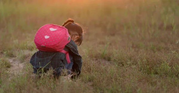 Маленькая Девочка Гуляющая Природе Закате Лета Впервые Исследует Природу Лицензионные Стоковые Изображения