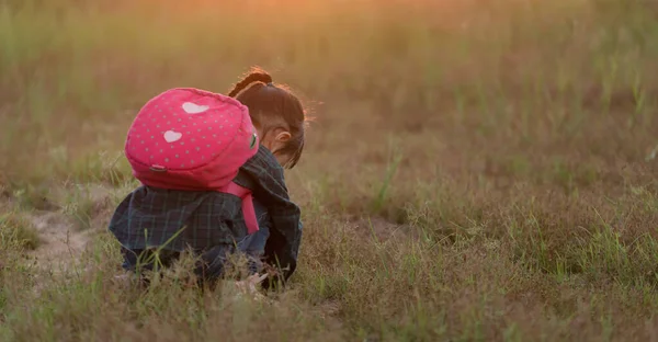 Klein Aziatisch Meisje Wandelen Natuur Bij Zonsondergang Zomer Kinderen Verkennen Rechtenvrije Stockafbeeldingen