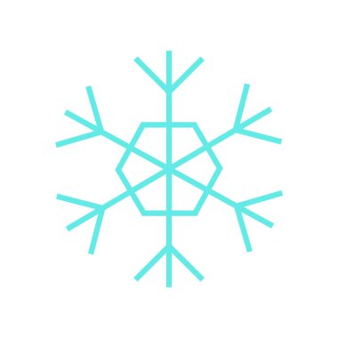 Temel ince kar tanesi