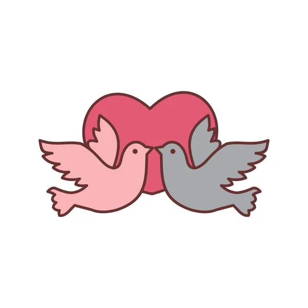 Dove Bird Love Vector Illustration Graphic