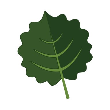 Orbicular çiçek yaprakları vektör şekil grafiği