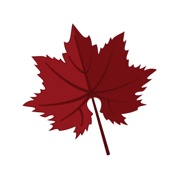 Dark Red Maple Leaf Vector Illustration Graphic — Stock Vector