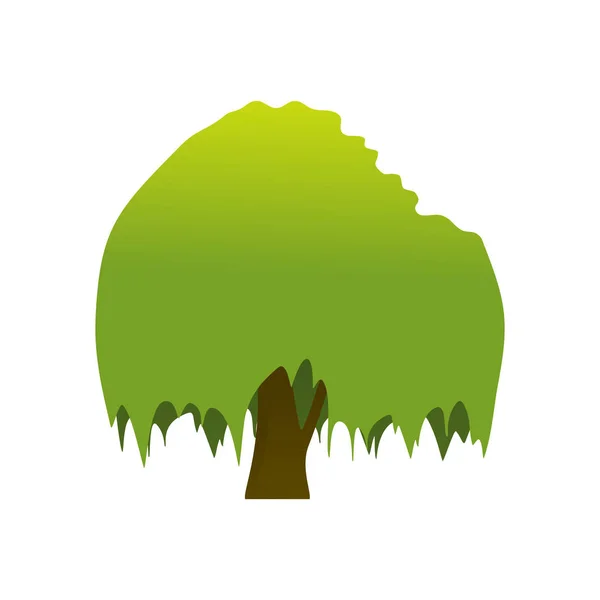 Απομονωμένη Banyan δέντρο φυτό εικονογράφηση — Διανυσματικό Αρχείο